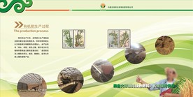 宣传册单页