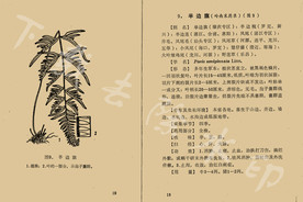 半边旗