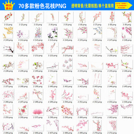 粉色花枝 中国风桃花水墨梅花樱