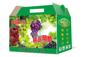 葡萄包装箱（展开图）