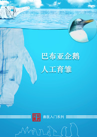 企鹅冰山一角封面设计