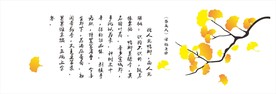 银杏墙