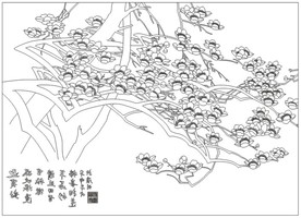 玉兰