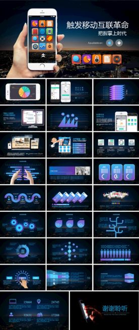 IT 互联网 电子商务 PPT