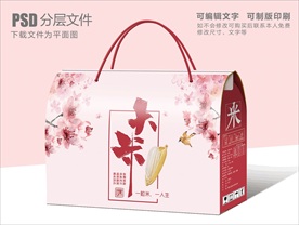 简约大米包装设计