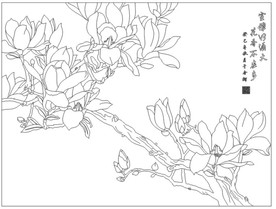 玉兰花