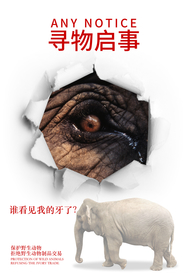 保护野生动物公益视觉画面
