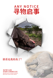 保护野生动物公益画面