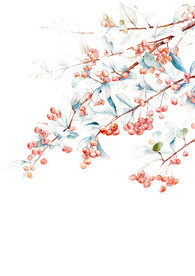 手绘植物插画