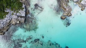 游泳 海洋