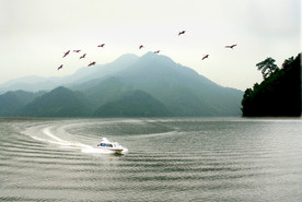 白鹭湖
