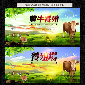 黄牛