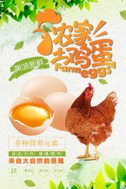 鸡蛋
