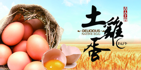 鸡蛋