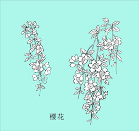 樱花线描 樱花白描 樱花素描