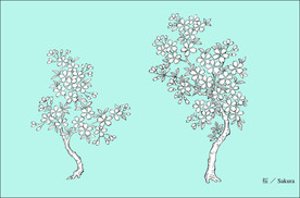 樱花线描 樱花白描 樱花素描