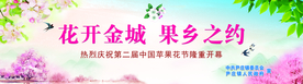 苹果花节