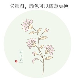 玉兰花