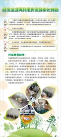 厨余垃圾再利用环保卫生