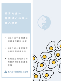 浅蓝色图片编排