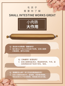 火腿肠功能介绍