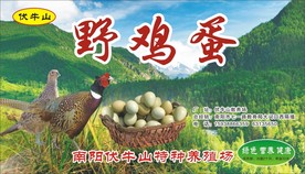 鸡蛋红箱