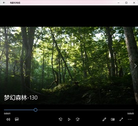 森林