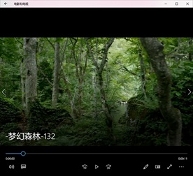 森林