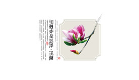 玉兰花