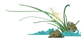 兰花