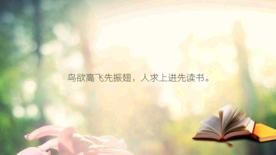 读书 桌面大图 阅读