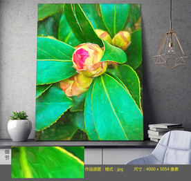 花蕾 绿色植物 油画 装饰画