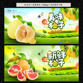 柚子