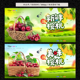 樱桃