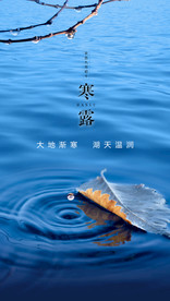 寒露 微信