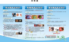 青光眼  角膜病  翼状胬肉