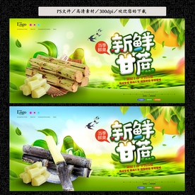 甘蔗