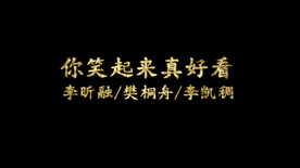 你笑起来真好看歌词pr模板