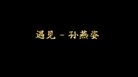 孙燕姿 - 遇见歌词pr模板