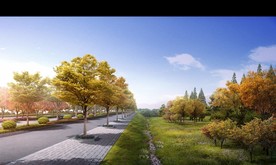 景观道路设计