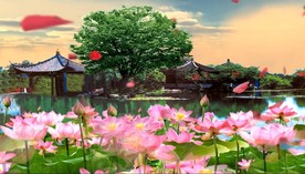 荷花池