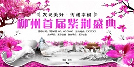 紫荆盛典