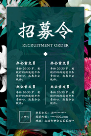 小清新招募令海报