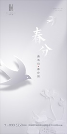 春分 高端春分  高级灰春分