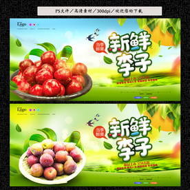 李子
