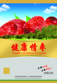 红枣包装
