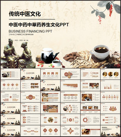 中医学中医药中草药中医院PPT