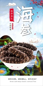 海参海报