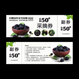 桑葚采摘券