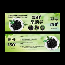 桑葚采摘券
